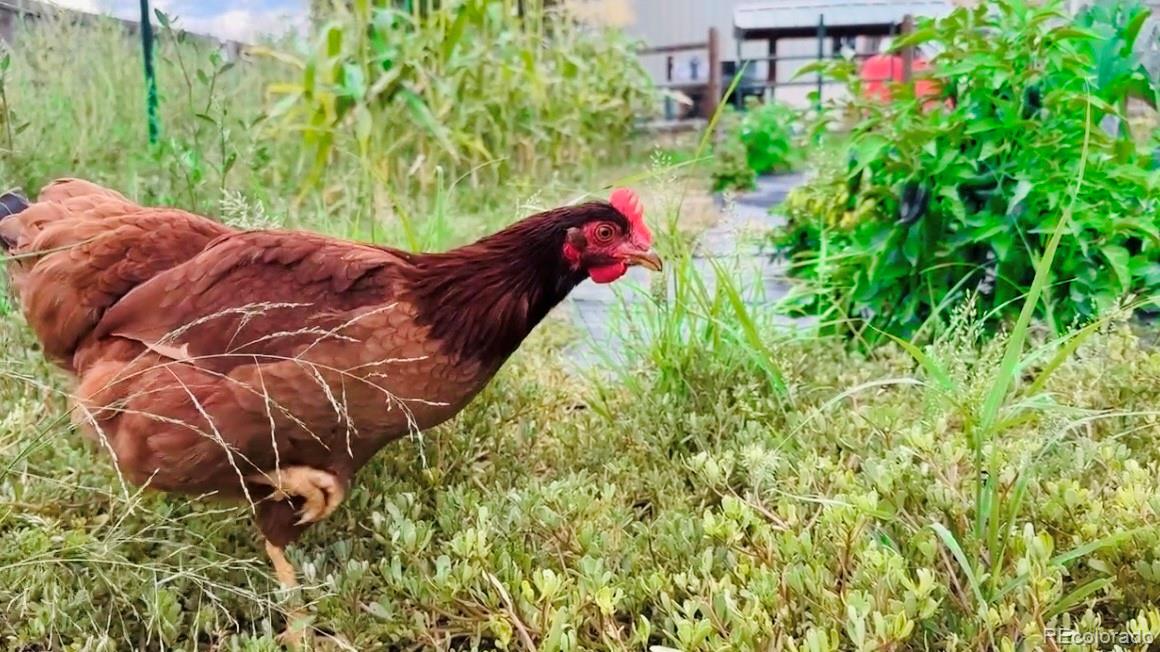 1891 South Quebec Way Denver, CO 80231 - Photo 33 of 35