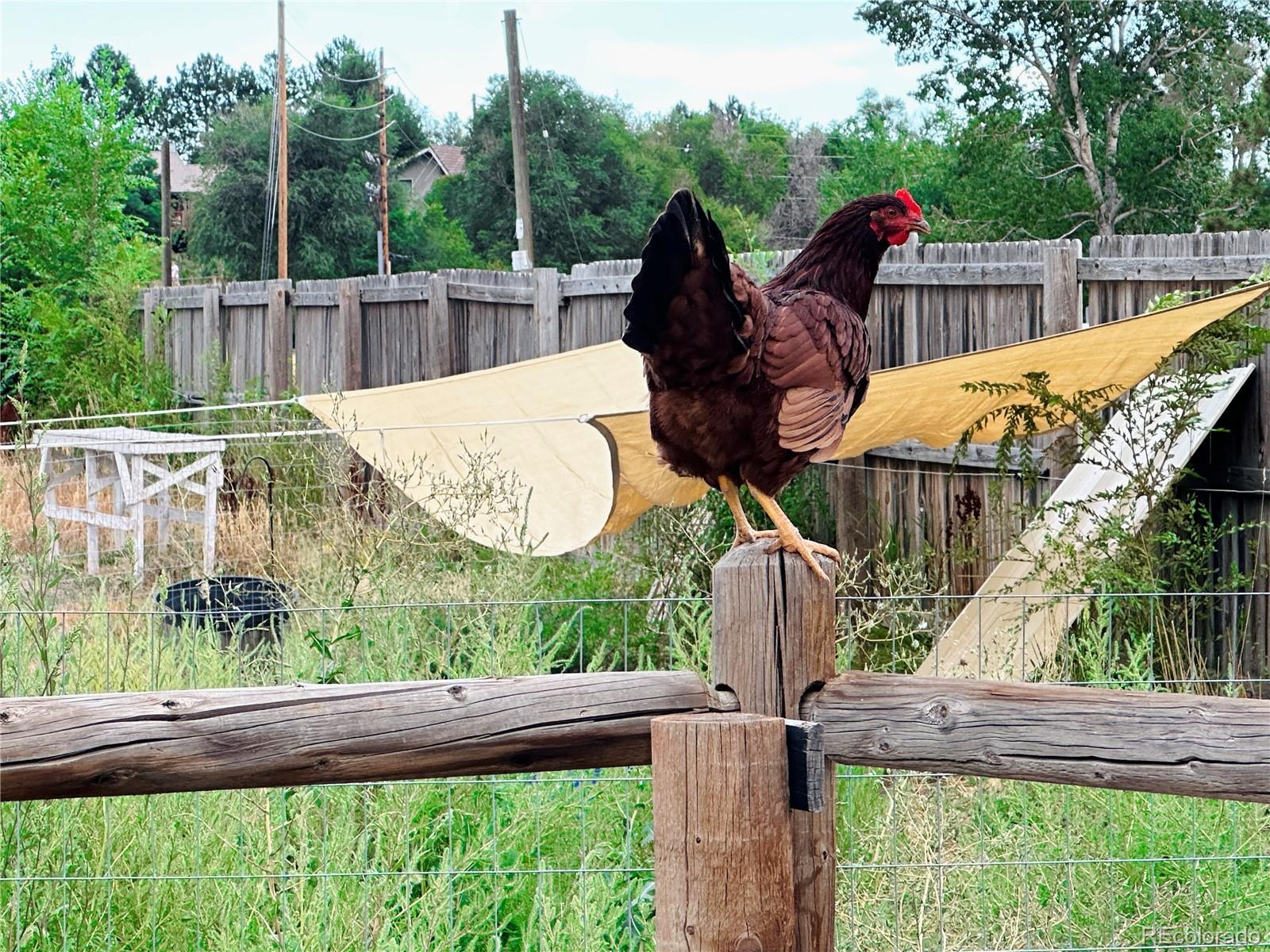 1891 South Quebec Way Denver, CO 80231 - Photo 34 of 35