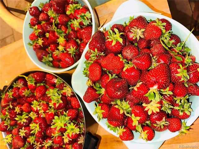 $779,000 | 1891 South Quebec Way, Denver, CO 80231