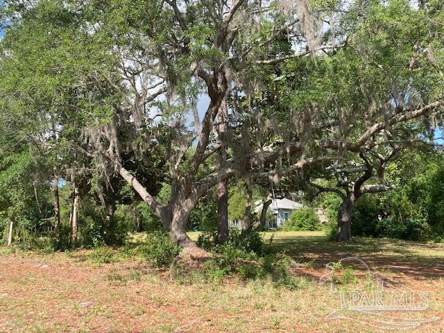 0 Joe Pruitt Road Navarre, FL 32566 - Photo 5 of 7 Gallery Image 5
