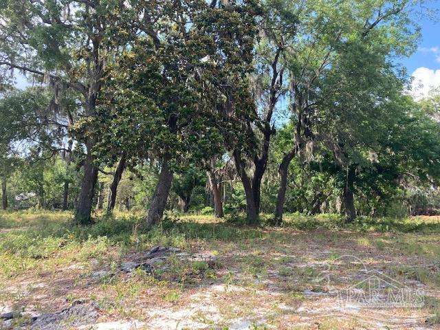 0 Joe Pruitt Road Navarre, FL 32566 - Photo 6 of 7 Gallery Image 6