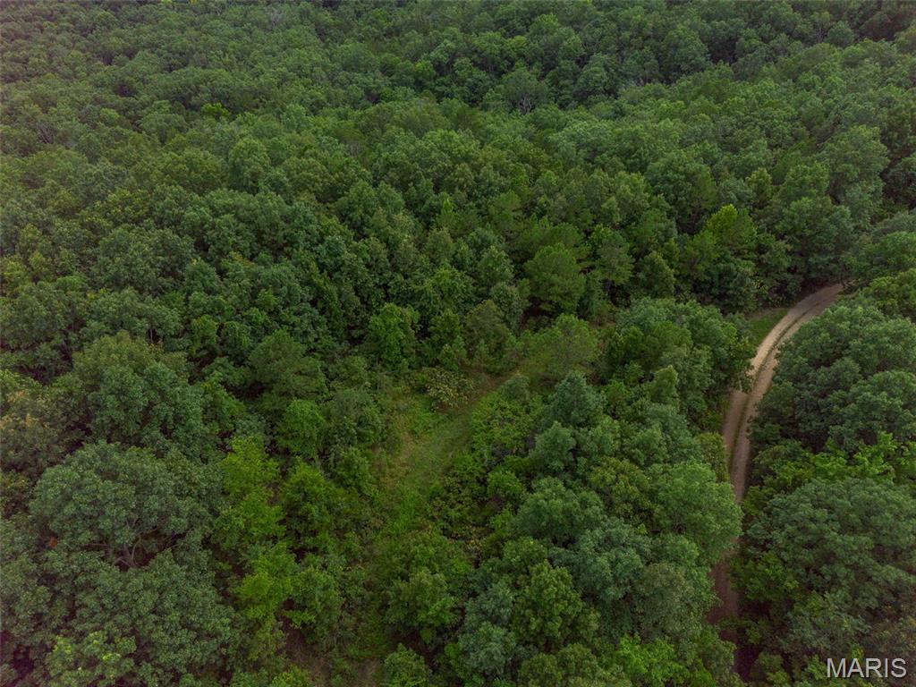 Tbd Tbd Whitacre Run Salem, MO 65560 - Photo 12 of 25