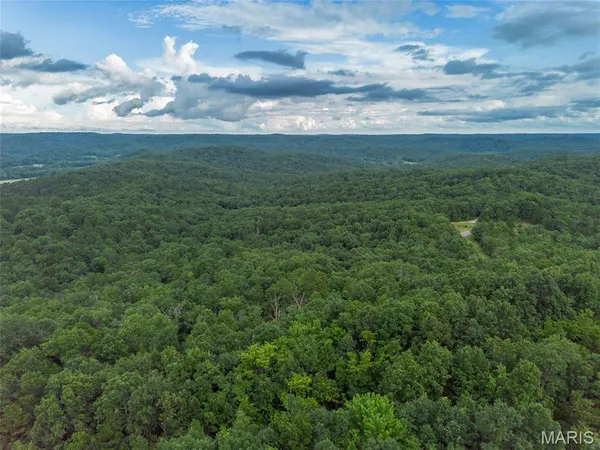 $85,000 | Tbd Tbd Whitacre Run, Salem, MO 65560