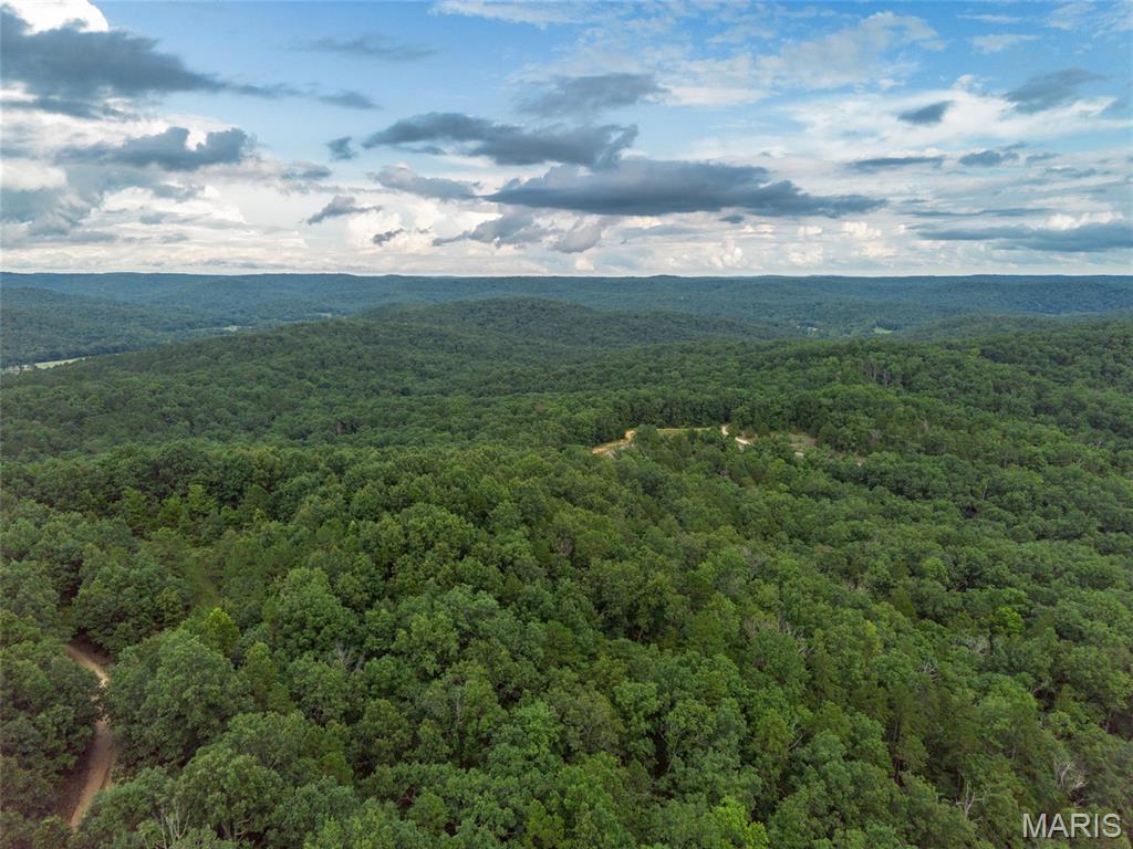 Tbd Tbd Whitacre Run Salem, MO 65560 - Photo 18 of 25