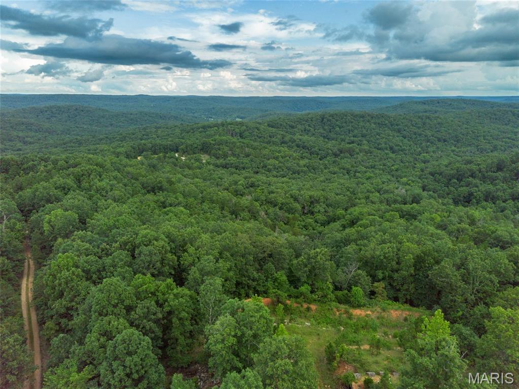 Tbd Tbd Whitacre Run Salem, MO 65560 - Photo 20 of 25