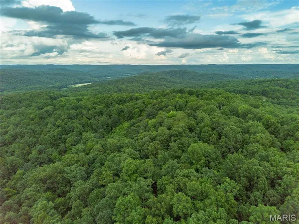 $85,000 | Tbd Tbd Whitacre Run, Salem, MO 65560