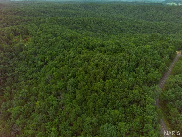 $85,000 | Tbd Tbd Whitacre Run, Salem, MO 65560