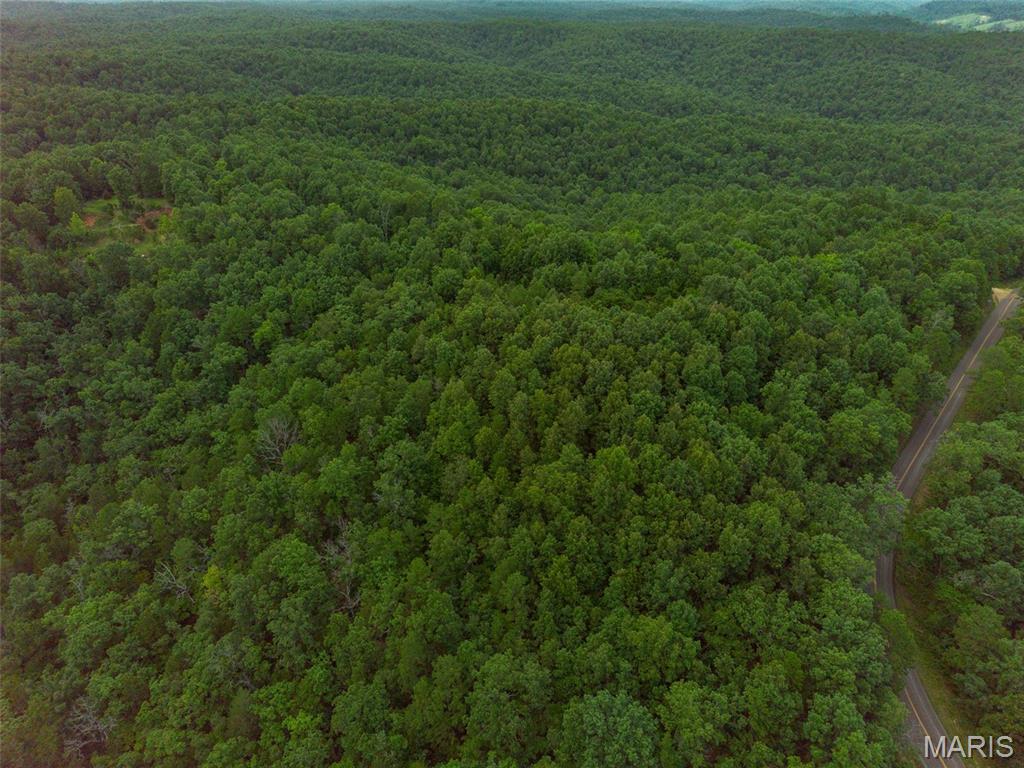 Tbd Tbd Whitacre Run Salem, MO 65560 - Photo 23 of 25