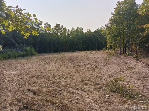 $85,000 | Tbd Tbd Whitacre Run, Salem, MO 65560