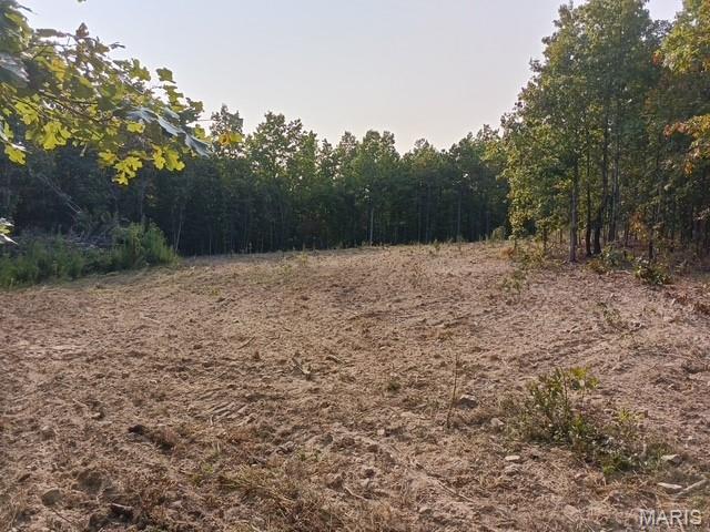 Tbd Tbd Whitacre Run Salem, MO 65560 - Photo 3 of 25