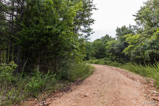 $85,000 | Tbd Tbd Whitacre Run, Salem, MO 65560