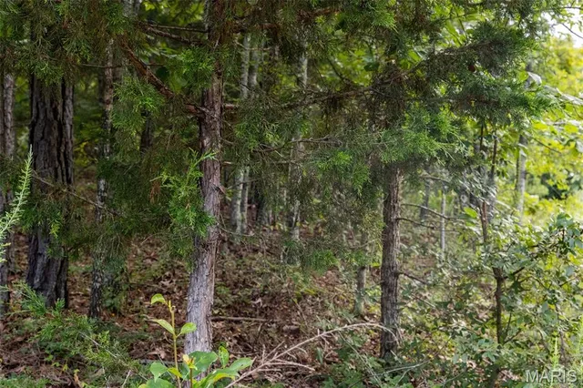 $85,000 | Tbd Tbd Whitacre Run, Salem, MO 65560