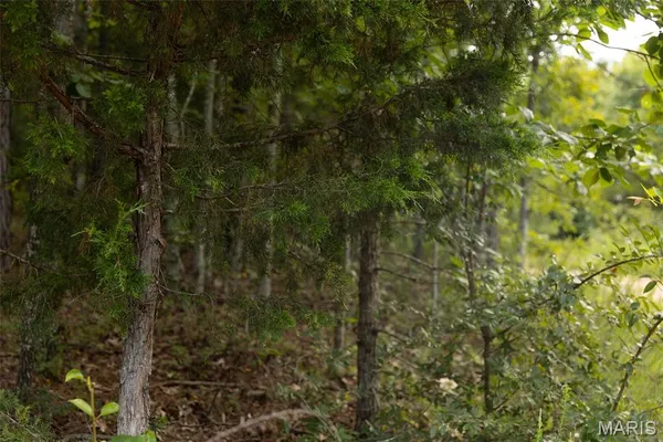 $85,000 | Tbd Tbd Whitacre Run, Salem, MO 65560