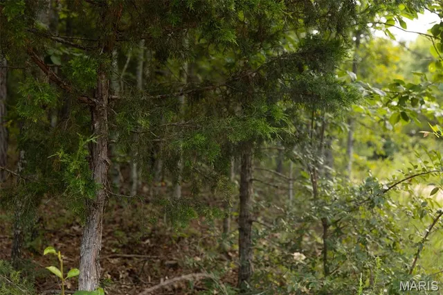 $85,000 | Tbd Tbd Whitacre Run, Salem, MO 65560