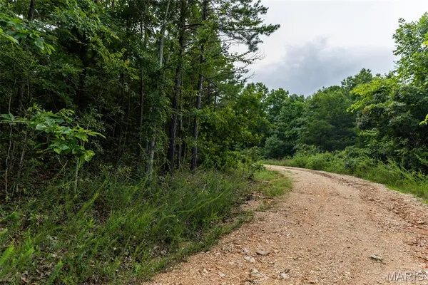 $85,000 | Tbd Tbd Whitacre Run, Salem, MO 65560