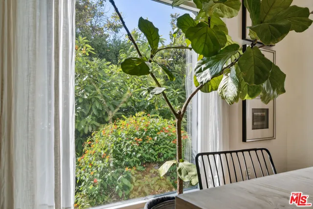 a view of a plant in a balcony