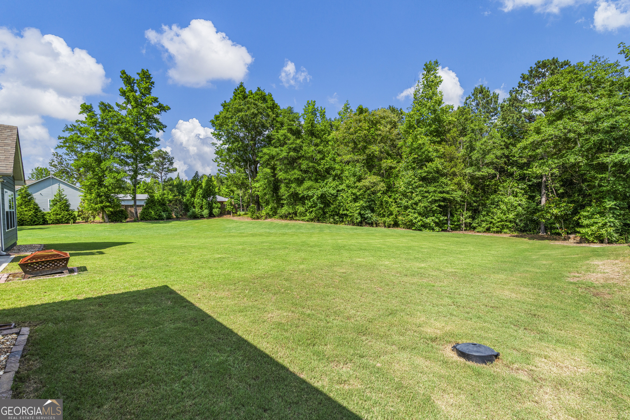 217 Courtland Road Brooks, GA 30205 - Photo 36 of 39