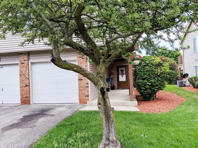 a tree in front of a white house