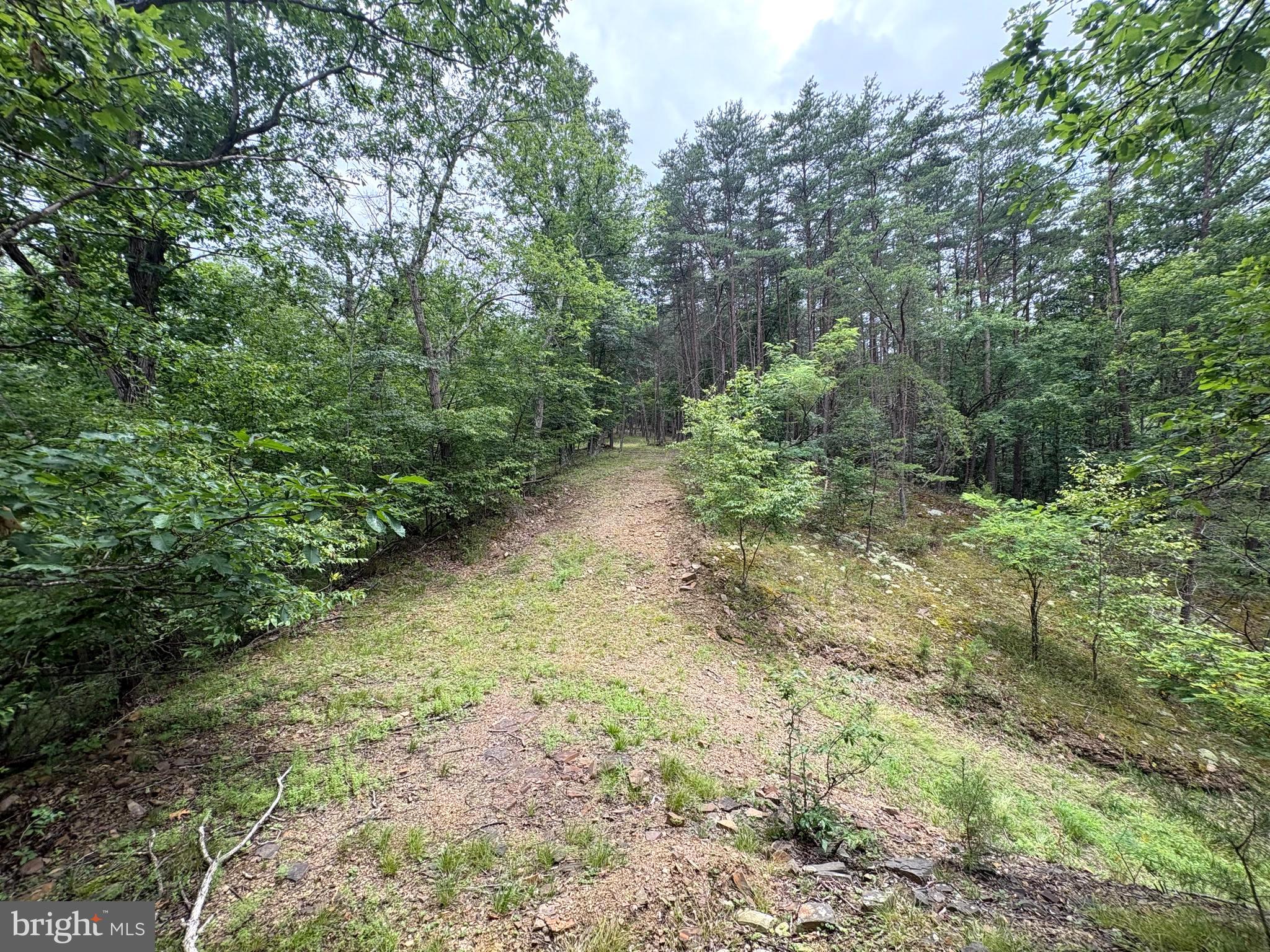 Lot 126 Bluffs Blue Beach Road Springfield, WV 26763 - Photo 3 of 20