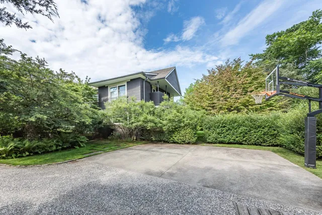 a view of a garden with plants and large trees