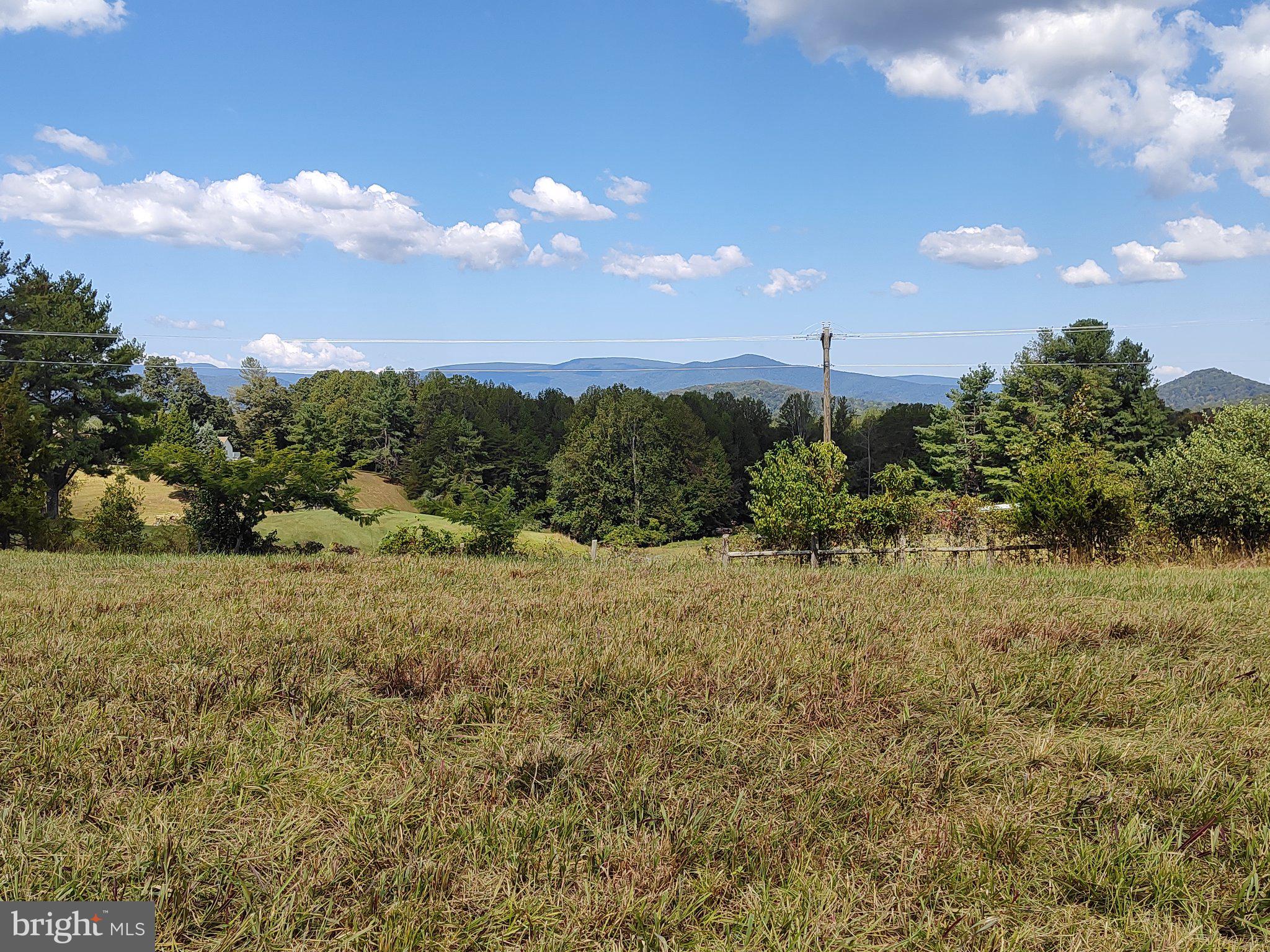 Aaron Mountain Road Castleton, VA 22716 - Photo 5 of 6 Blue Ridge Mt Views!