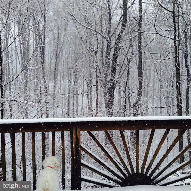 624 Rolling Dale Road Annapolis, MD 21401 - Photo 20 of 25 View