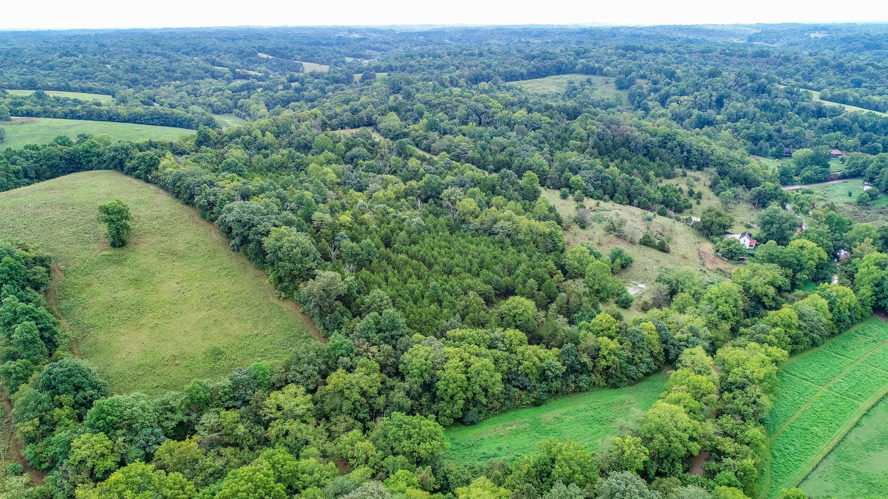 1 Bobtown Road Cynthiana, KY 41031 - Photo 5 of 7 DJI_0022