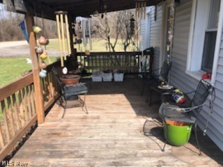 11675 Beard Road New Springfield, OH 44443 - Photo 3 of 23 Front porch