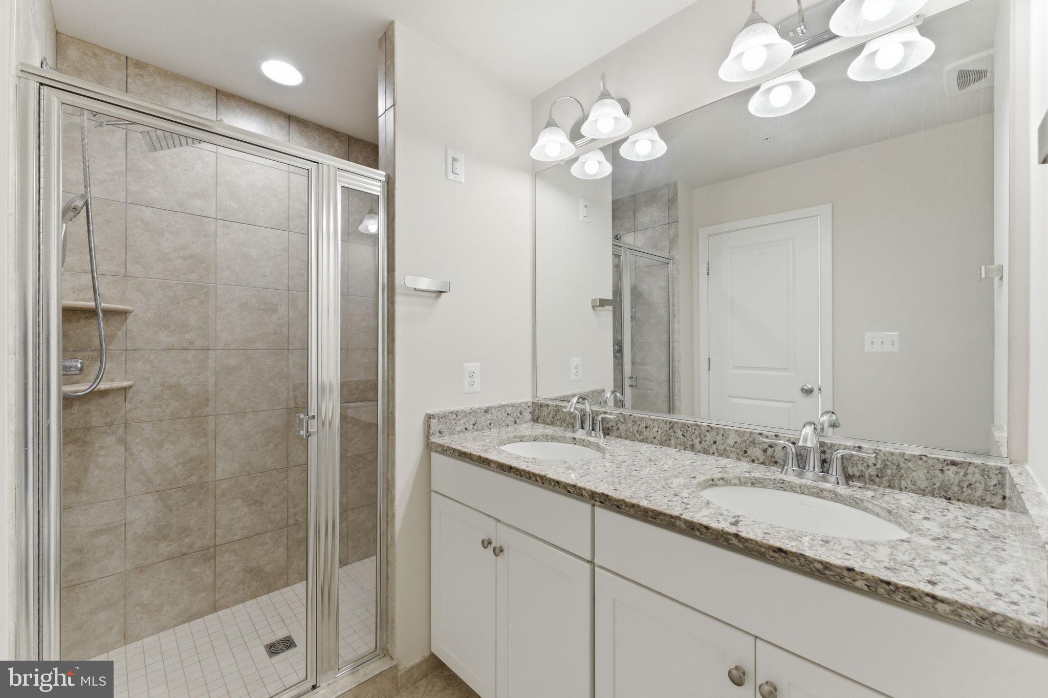 169 Kandinsky Loop Silver Spring, MD 20906 - Photo 52 of 67 Modern bathroom with elegant finishes.