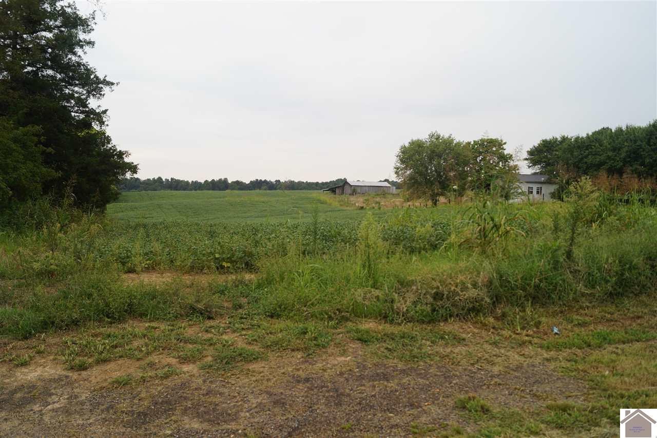 2297 Byrd Road Mayfield, KY 42066 - Photo 1 of 1 land