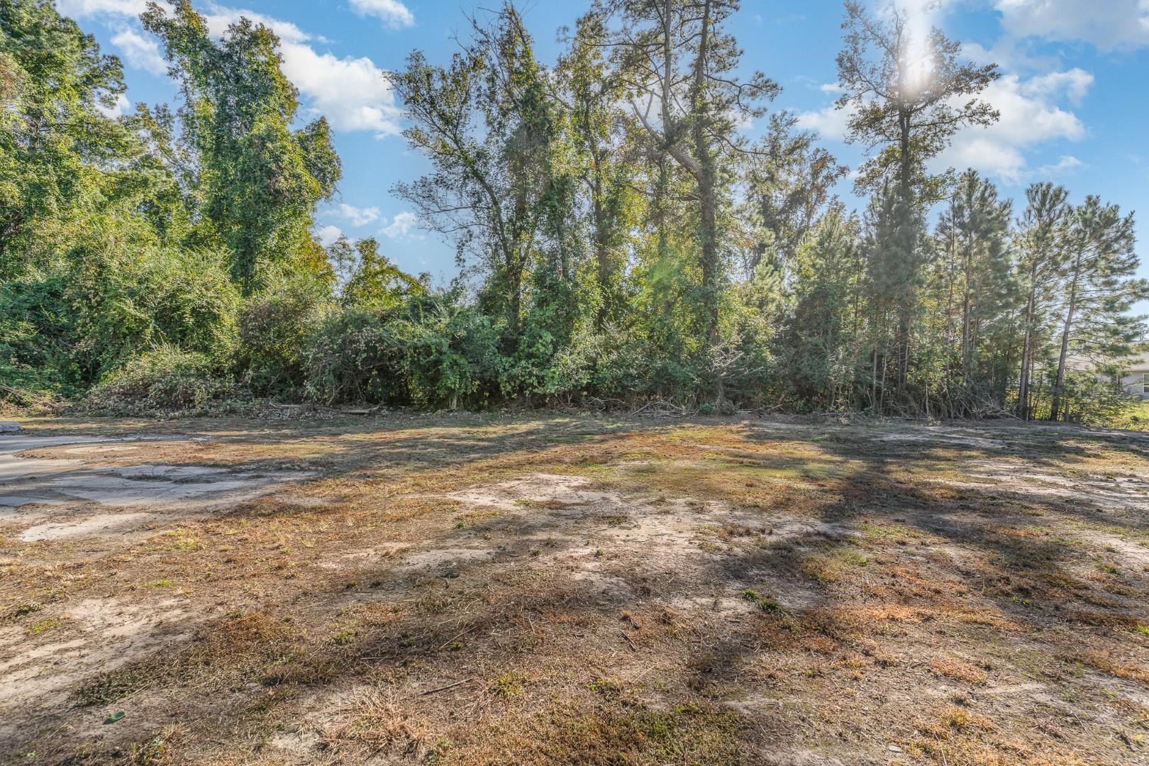 Tbd Eagles Street Conway, SC 29527 - Photo 9 of 10