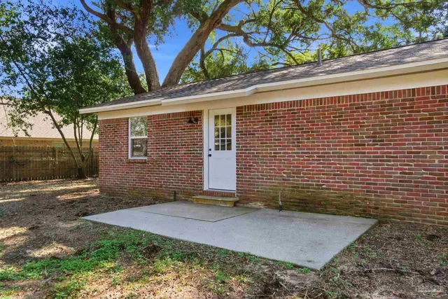 a view of a backyard with plants and large tree