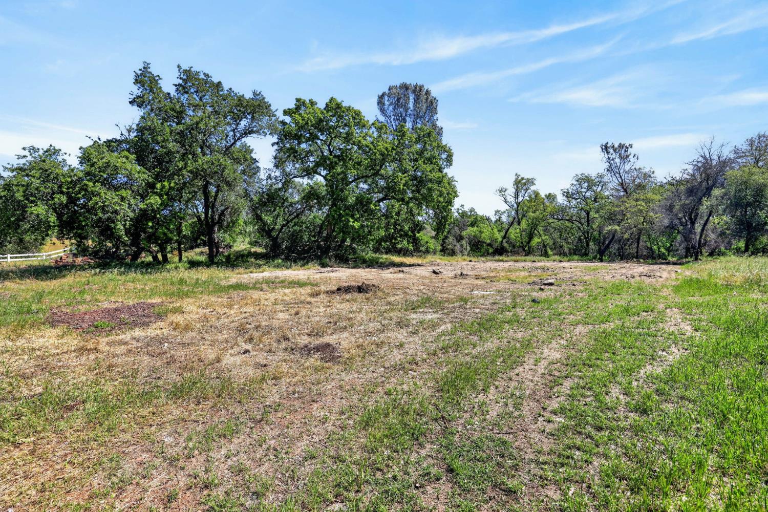7021 Horseshoe Bar Road Loomis, CA 95650 - Photo 59 of 77 a view of a grassy area with an trees