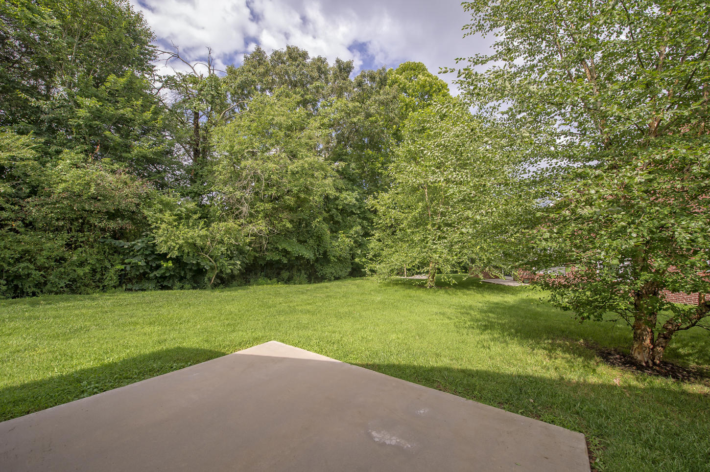 6139 Kristins Gate Way Powell, TN 37849 - Photo 27 of 30 Secluded View from Patio