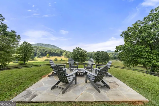 a view of a park with large trees