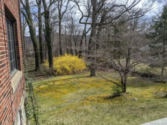 a view of yard with trees