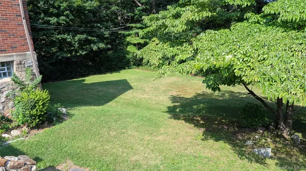 a view of a garden with a tree