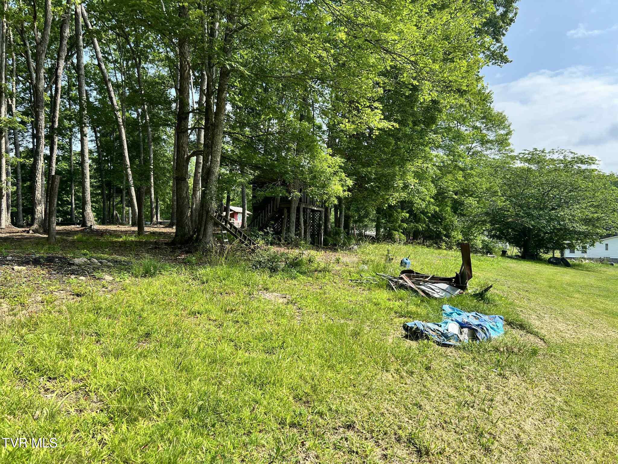 12615 Star Branch Road Coeburn, VA 24230 - Photo 19 of 36 gdfhkjfgkh