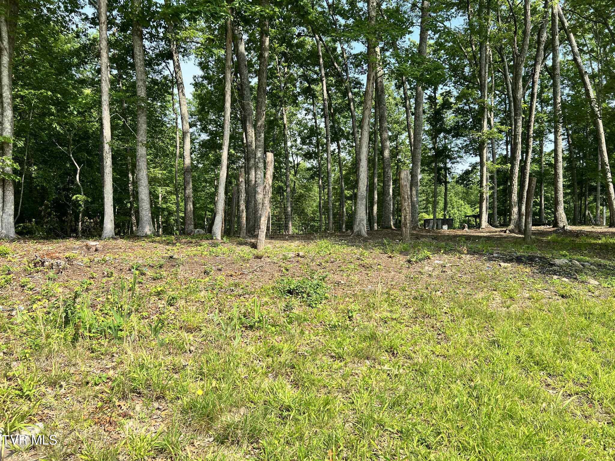 12615 Star Branch Road Coeburn, VA 24230 - Photo 29 of 36 dghkgfkfgk