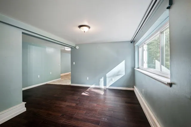 a view of a yard with plants and trees