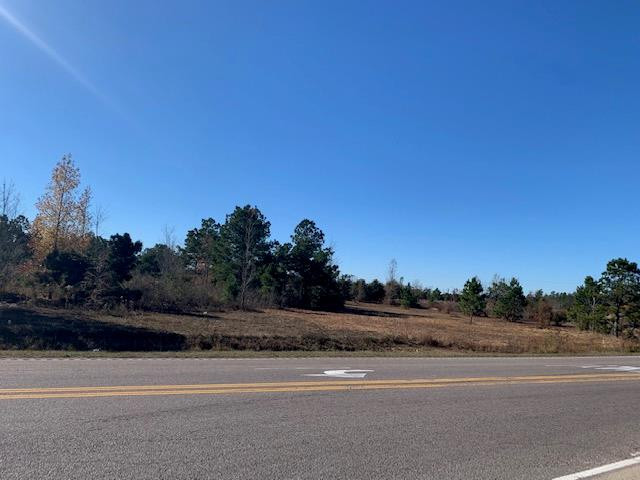 4456 Williston Road Williston, SC 29853 - Photo 1 of 1