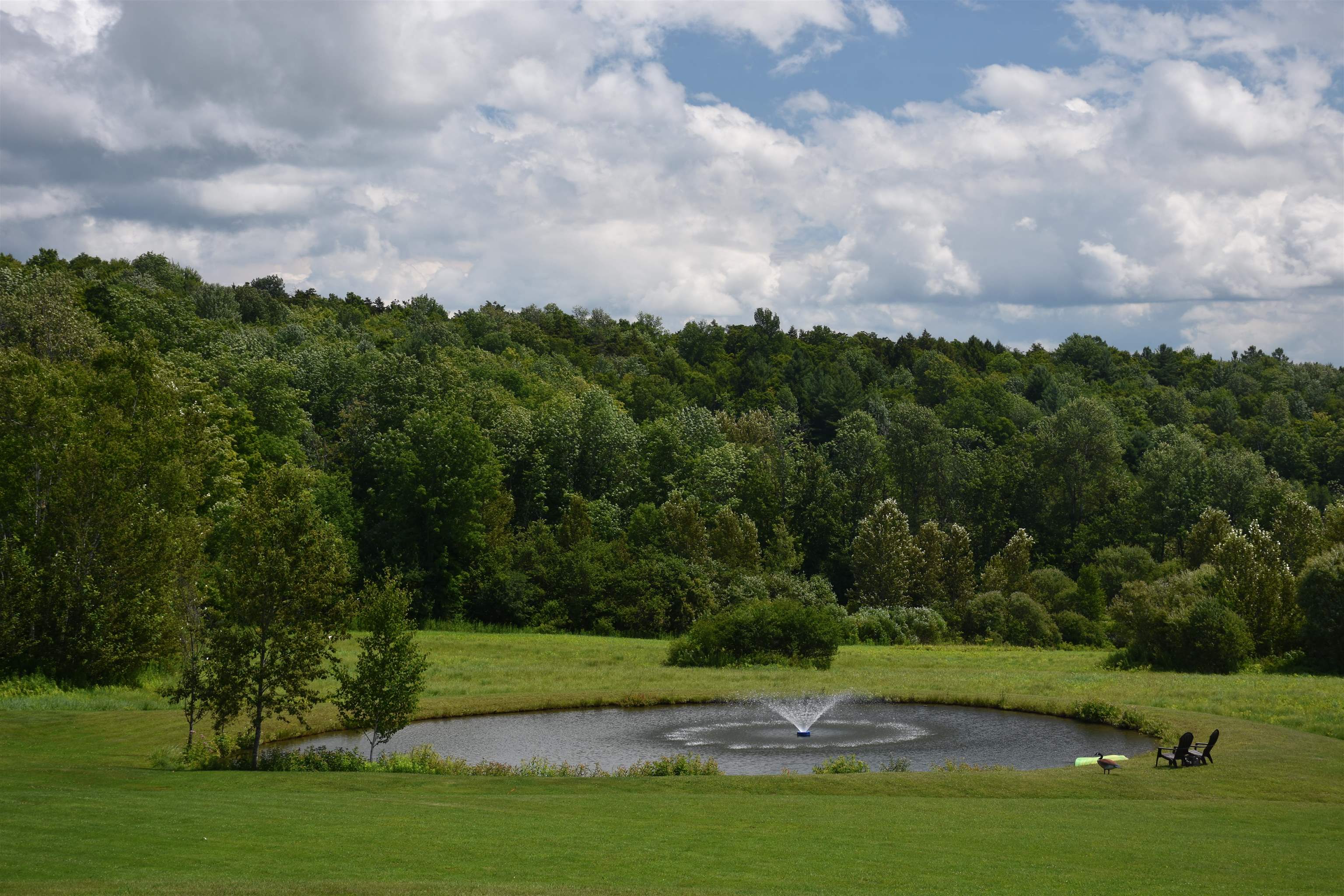 2316 Peth Road Braintree, VT 05060 - Photo 56 of 58 Gallery Image 56