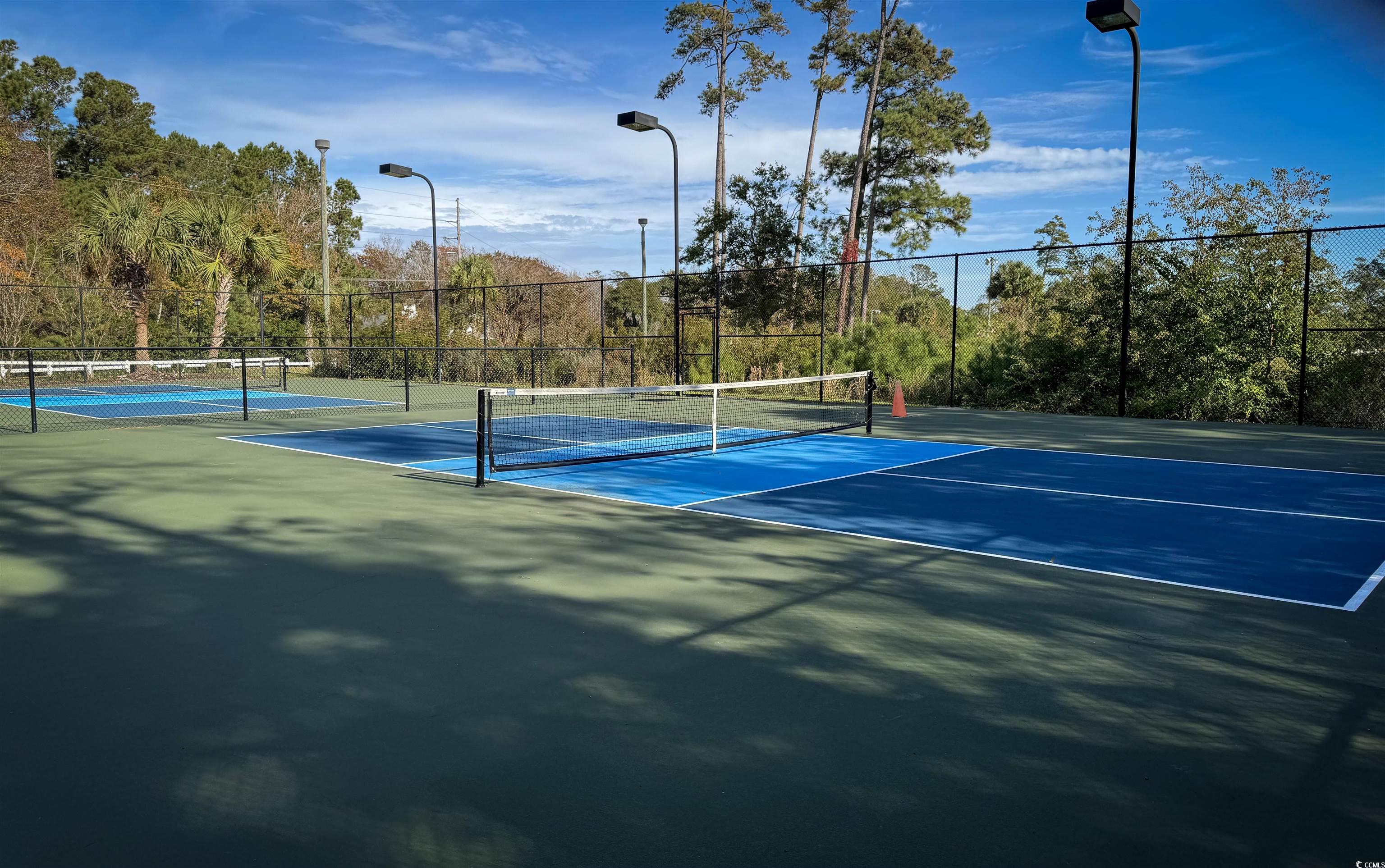 1004 Ray Costin Way, Unit 206 Murrells Inlet, SC 29576 - Photo 22 of 29 View of the pickleball Courts