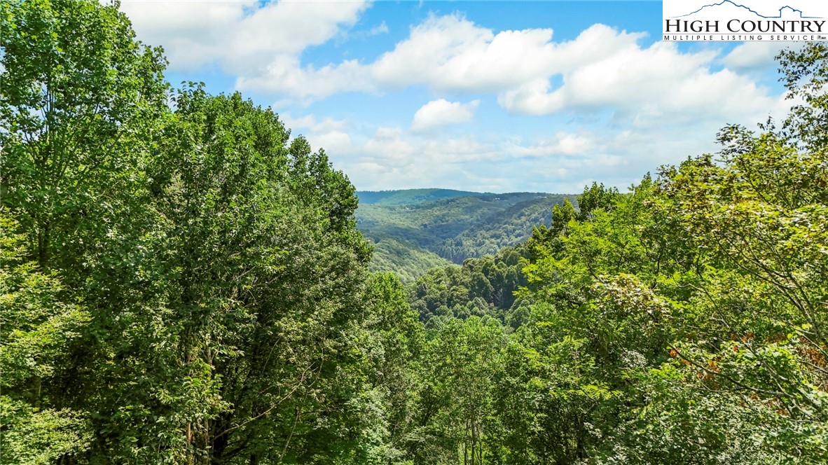 770 Grady Winkler Road Boone, NC 28607 - Photo 39 of 44 a view of a bunch of trees