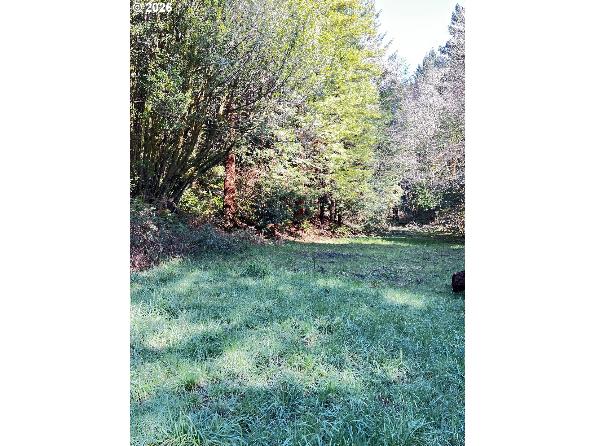 407 Winchuck River Road Brookings, OR 97415 - Photo 31 of 40