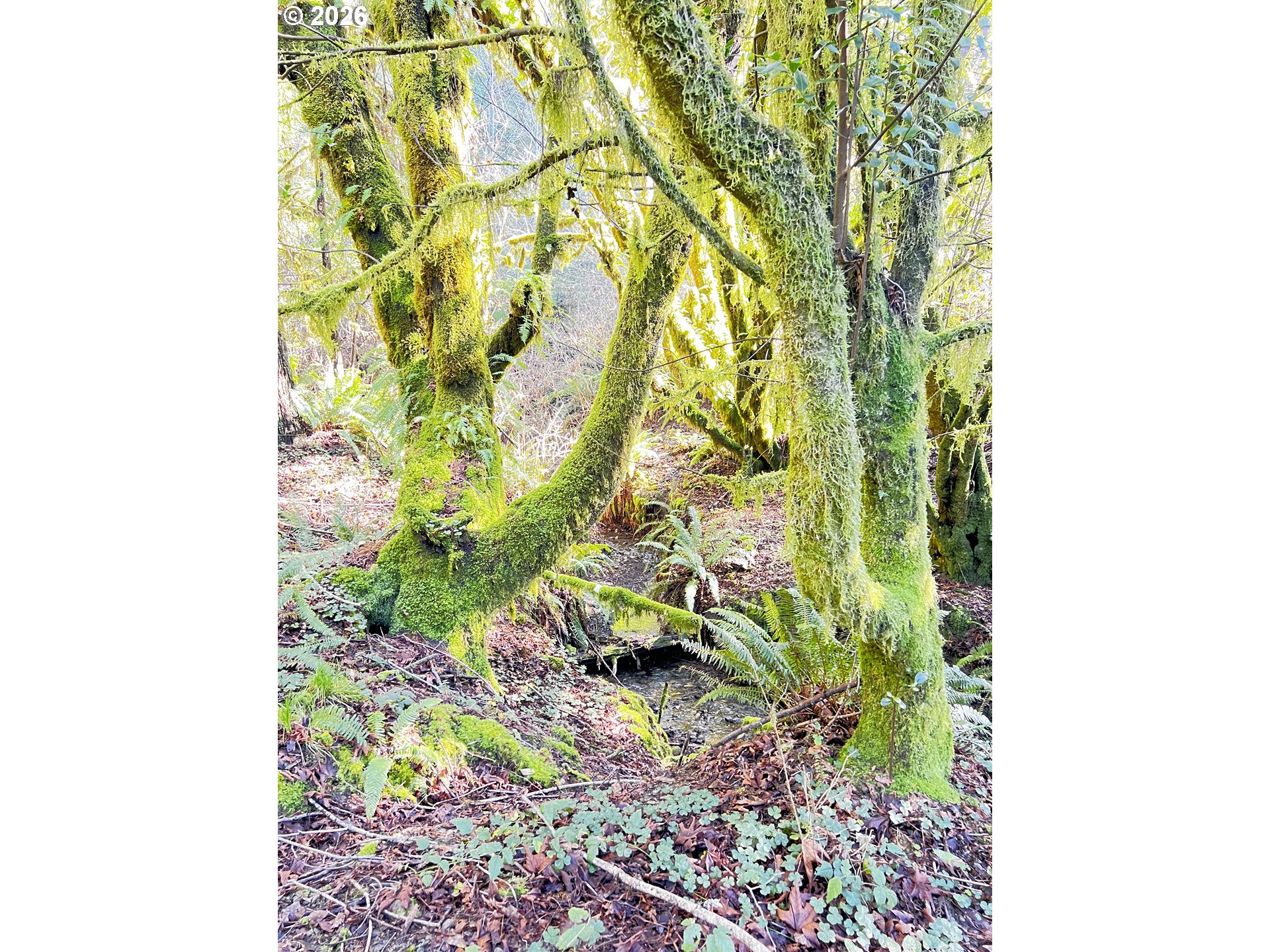 407 Winchuck River Road Brookings, OR 97415 - Photo 34 of 40