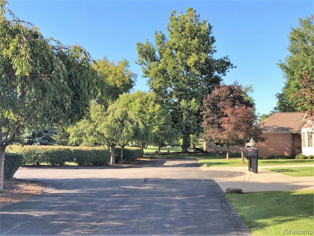 26218 Orchard Lake Road Farmington, MI 48334 - Photo 3 of 24