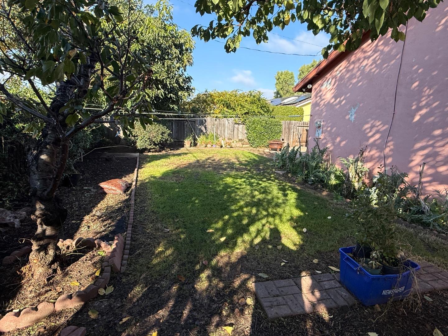 38809 Judie Way Fremont, CA 94536 - Photo 6 of 16 a view of a yard