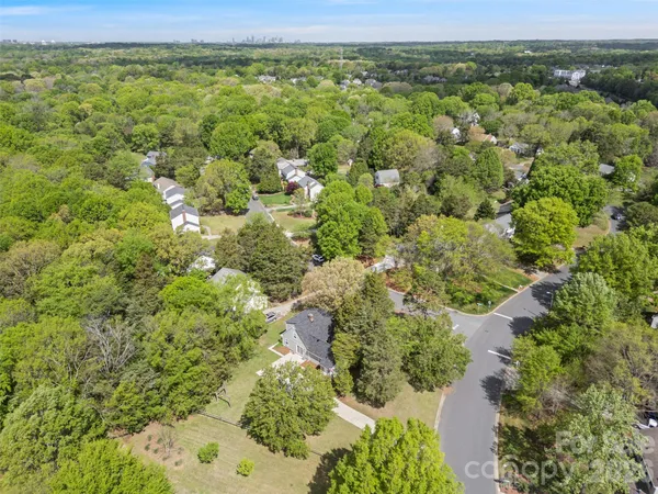 a view of a forest with a street