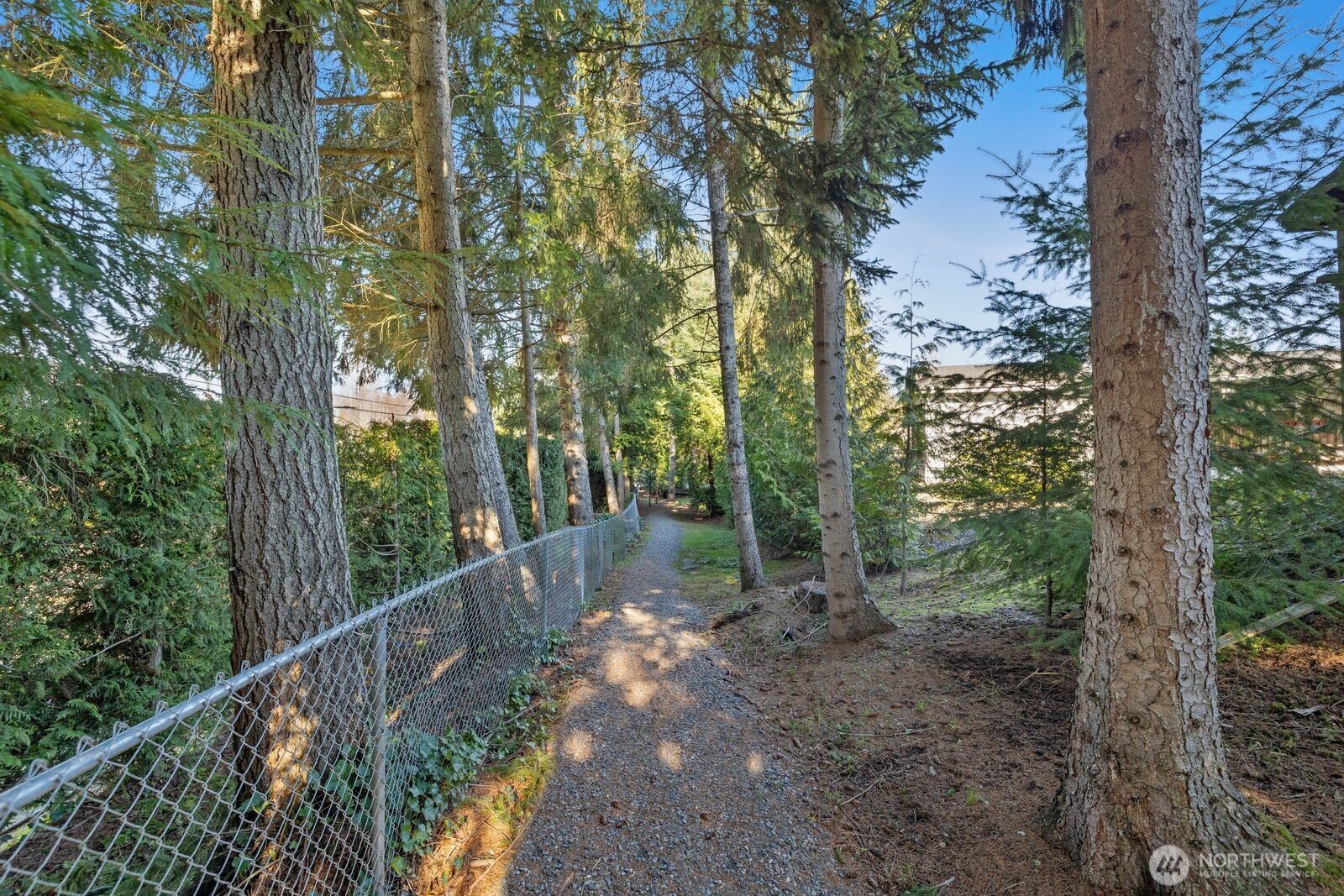 23825 15th Avenue Southeast, Unit 311 Bothell, WA 98021 - Photo 23 of 24 a view of a forest with trees